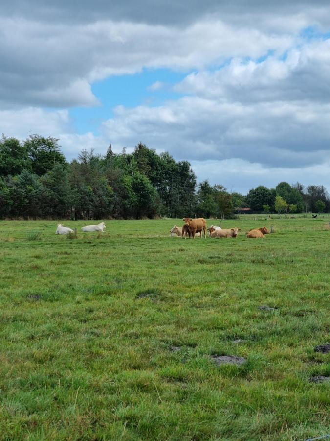 Haus Moor Merland Moormerland Eksteriør billede